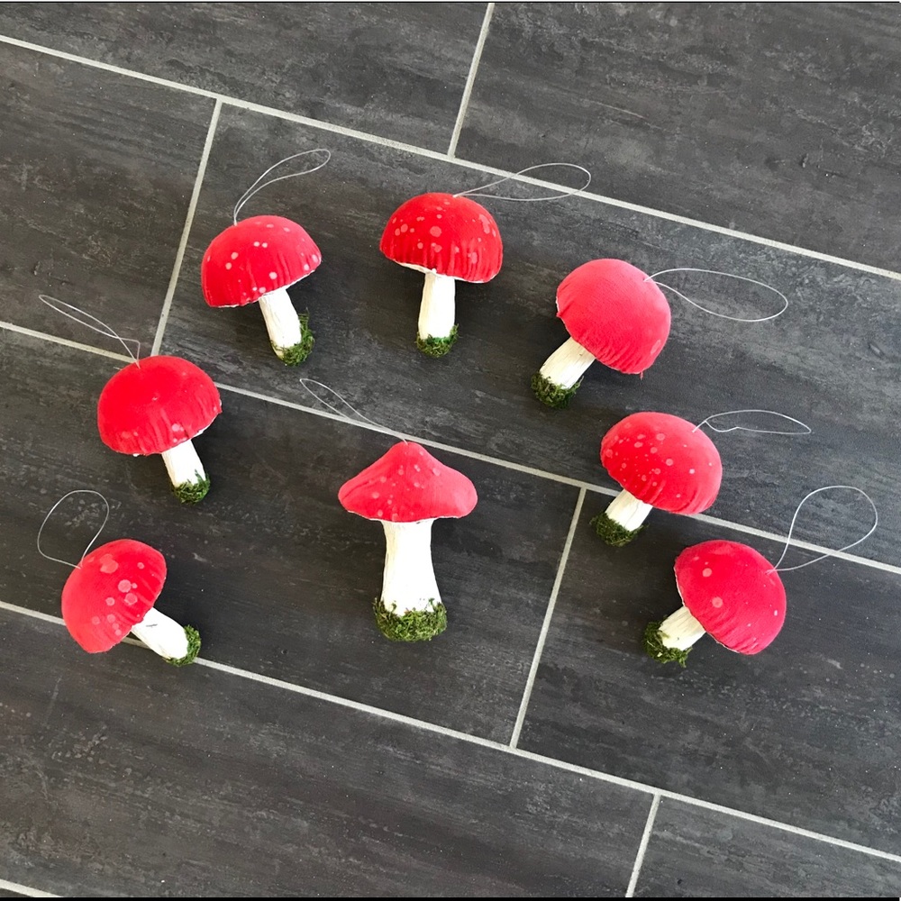 **SOLD**Mushrooms Decor & Ornaments 🍄 - Picture 2 of 7